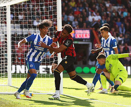 daftar-pemain-kunci-brighton-vs-bournemouth